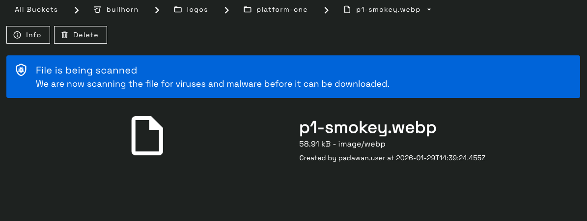 Screenshot of file awaiting scan